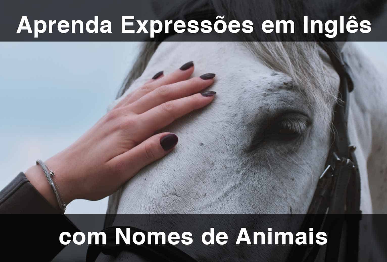 HORSE: expressões idiomáticas com HORSE (com tradução)